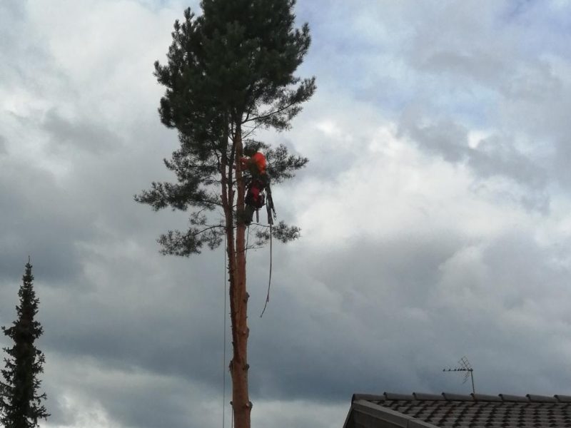 -5975457917080791898